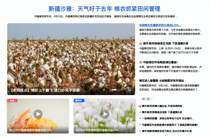 中國棉花網設計方案