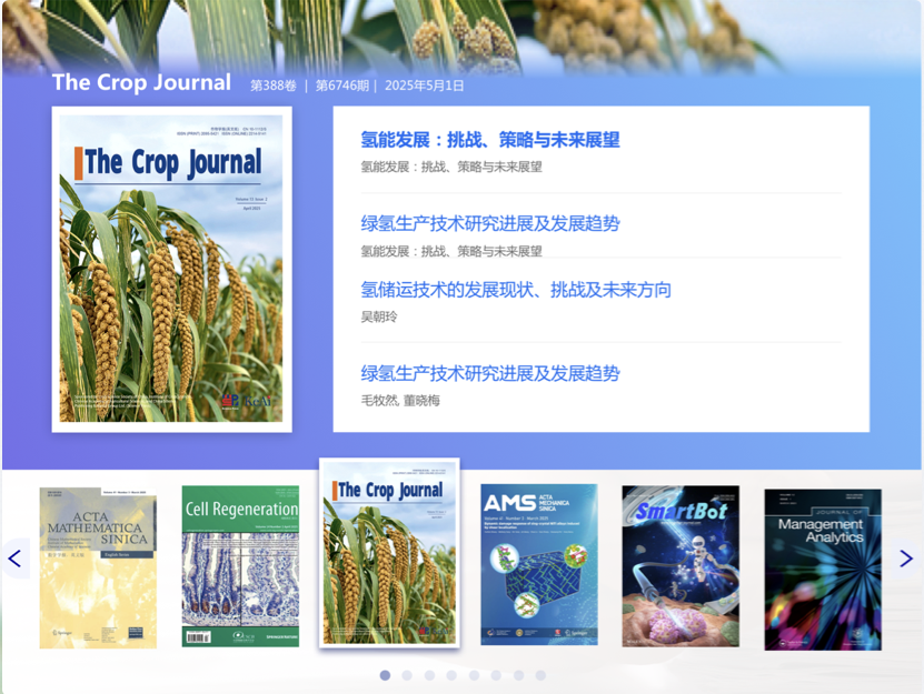 科協(xié)期刊官網(wǎng)設(shè)計(jì) 學(xué)術(shù)科協(xié)網(wǎng)站設(shè)計(jì) 期刊門戶網(wǎng)站設(shè)計(jì) 中國科協(xié) 中英文網(wǎng)站設(shè)計(jì)